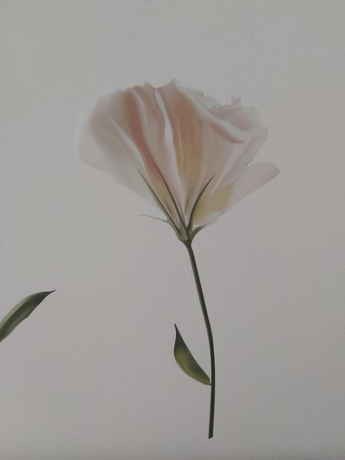 Candy'S Dream Rooms ลาสเปเซีย ภายนอก รูปภาพ